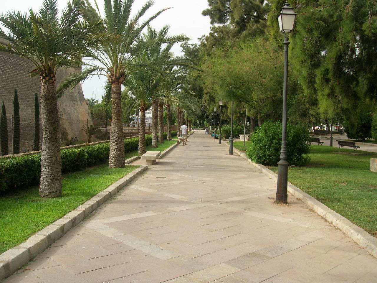 Hort del Rei